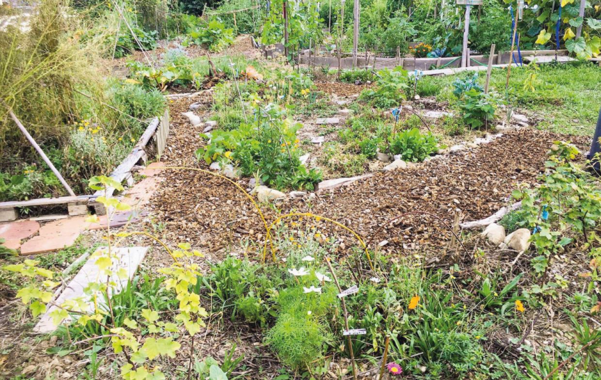 Cossonay, jardin associatif en permaculture | Journal de Cossonay
