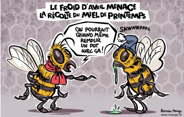 Le dessin de presse de la semaine