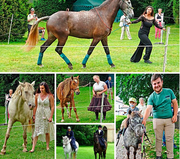 La Sarraz – Fête du cheval au château